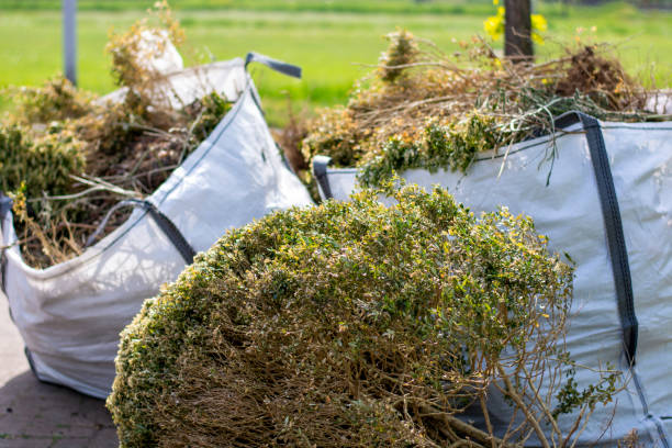 Professional Junk Removal in Princeton, KY